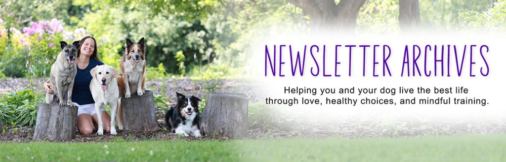 Rescue Dogs 101 newsletter archive