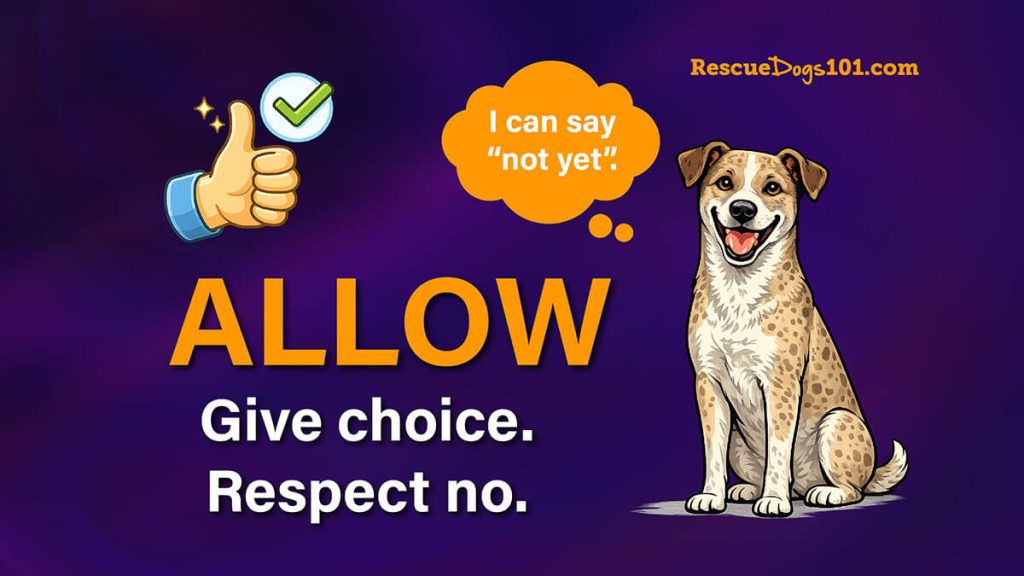 Allow. Mixed breed dog illustration on a purple background.