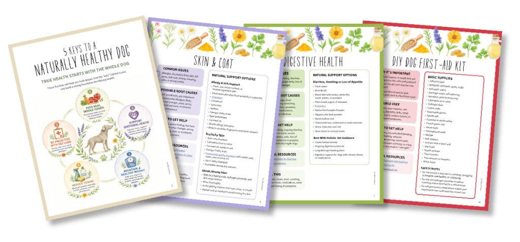 Dog Natural Remedies Reference Guide Inside Pages.