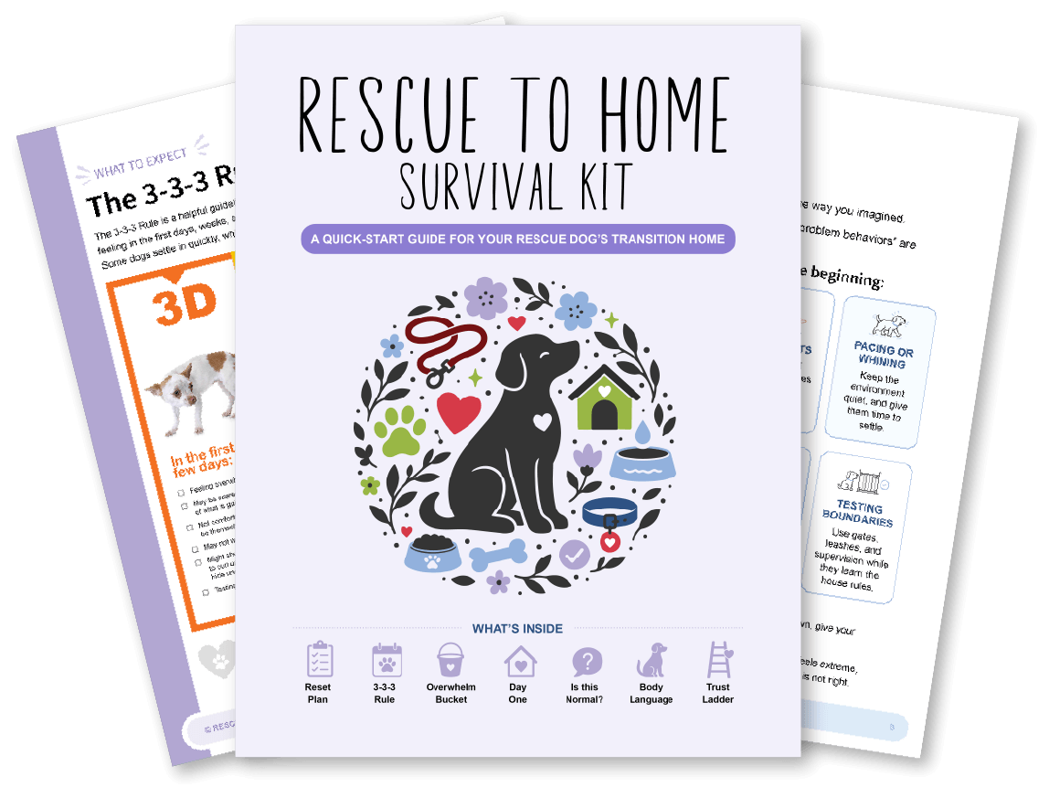 Rescue to Home Survival Kit Cover and Pages M Rescue to Home Survival Kit Cover and Pages