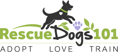 Rescue Dogs 101