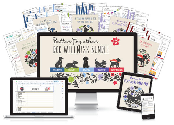 Dog Wellness Bundle on computer screen, laptop, tablet and smart phone with many pages behind it.