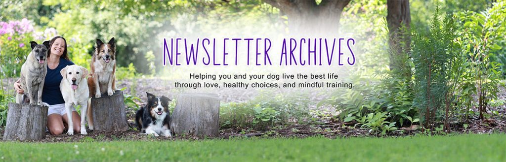 Rescue Dogs 101 newsletter archives